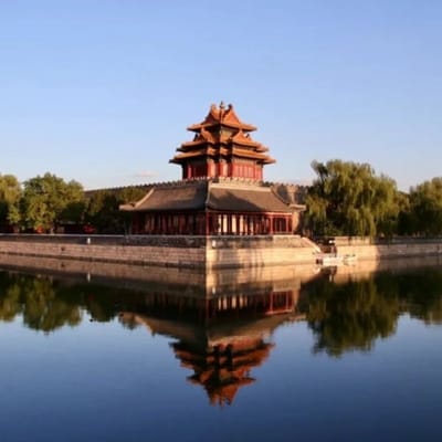 منازہ بشیر avatar