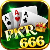 پی کے آر 6666 Logo